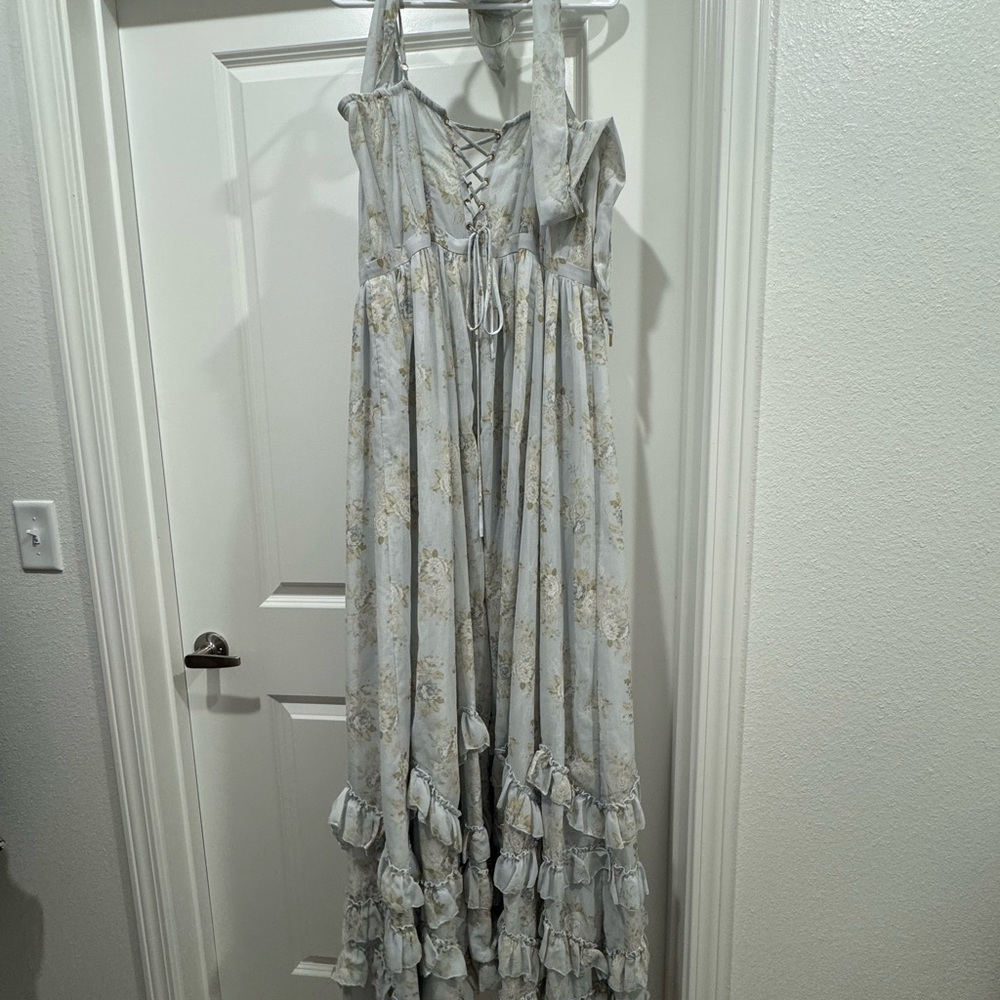 V. Chapman Victorian Blue Roses Maxi Dress - Picture 6 of 9